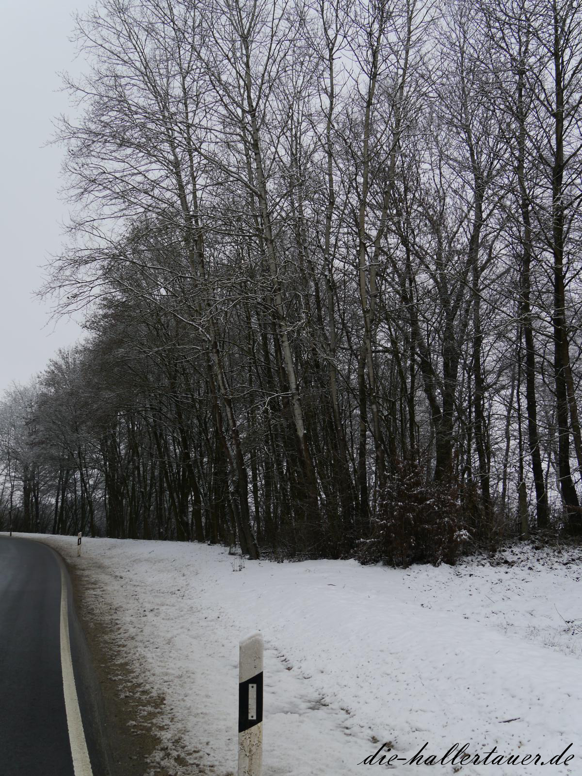 Schnee bei Abens und Dellnhausen